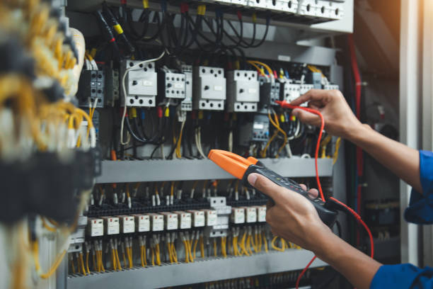Best Electric Panel Repair  in Dandridge, TN
